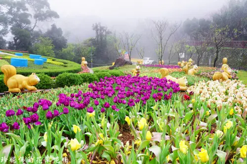 【台北-北投區】2019陽明山花季牽手觀櫻2/15-3/17