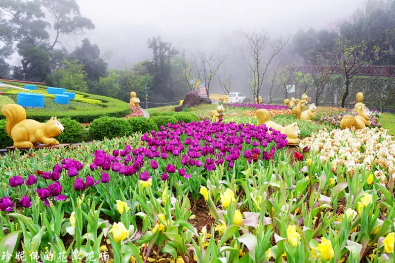 【台北-北投區】2019陽明山花季牽手觀櫻2/15-3/17