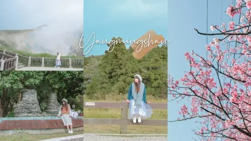 台北陽明山2021兩天一夜懶人包，免費泡溫泉賞櫻花，IG打卡輕旅行熱門景點。