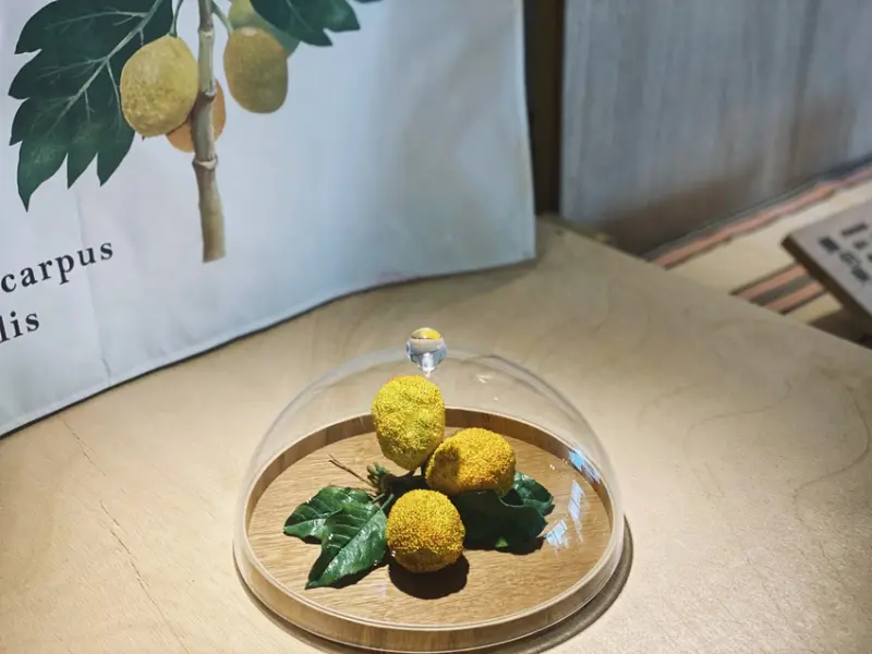 微型野菜展~告訴你神秘快消失的野菜文化