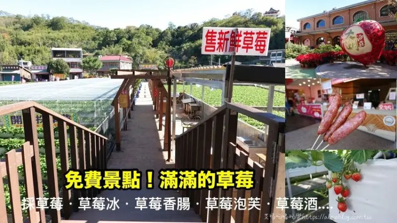 免費景點！冬天就是要來草莓世界．草莓香腸四支100元．體驗採紅寶石草莓 - 艾瑪▪ 享受吃喝玩樂札記