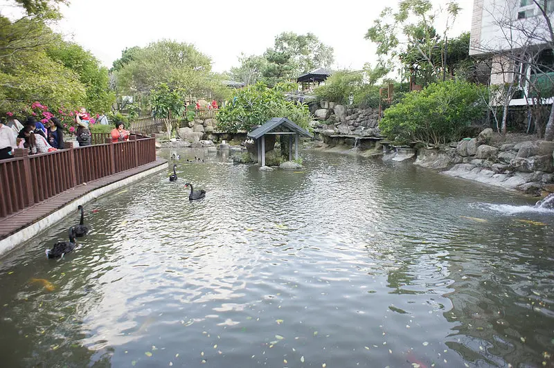 夢幻莊園 Schokolake 巧克力雲莊