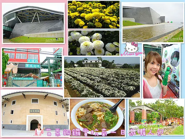 【苗栗-銅鑼】苗栗九湖下起了11月雪!!銅鑼賞杭菊一日遊懶人包