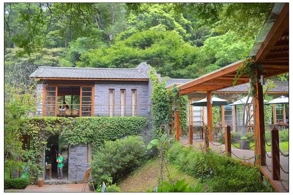 二訪~山那邊．綠葉方舟