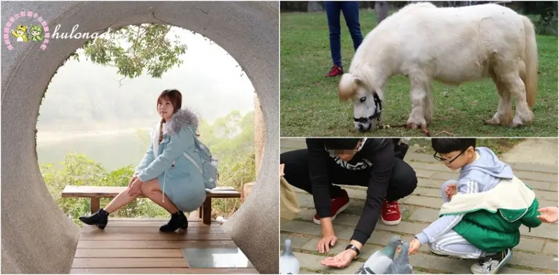 苗栗景點一日遊)) 湖中島上的咖啡館與動物園~日新島，頭屋景點x苗栗景觀餐廳x苗栗親子景點! - 虎虎龍龍*珍太妃