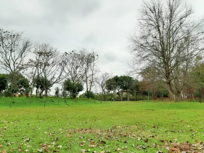 【苗栗縣頭屋鄉 / 旅遊 / 明德水庫】 日新島 水榭樓台 戶外休閒與景觀餐廳的結合