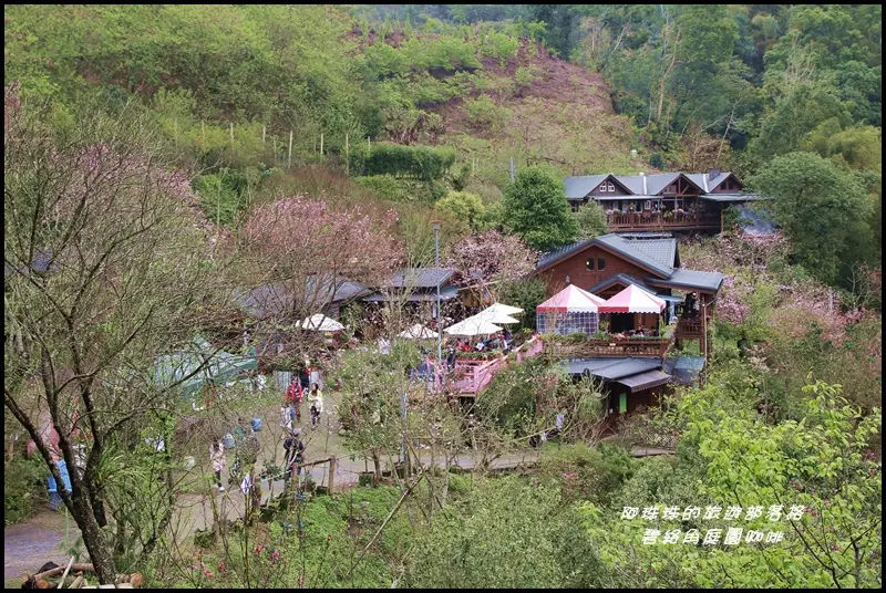 苗栗南庄。碧絡角花園咖啡賞花去