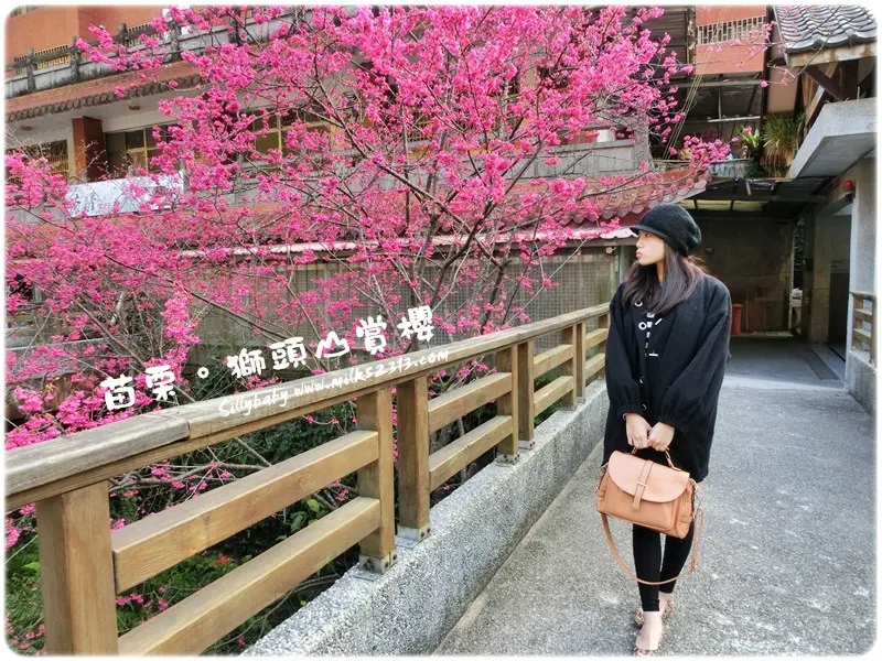 遊苗栗│獅頭山風景區♥彷彿置身小日本！驚～最佳賞櫻點竟是廁所？