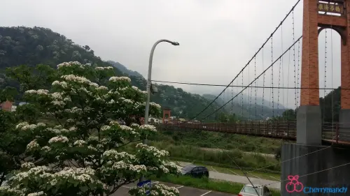【苗栗南庄】康濟吊橋~*走訪南庄老街，雪舞油桐花的約會*~