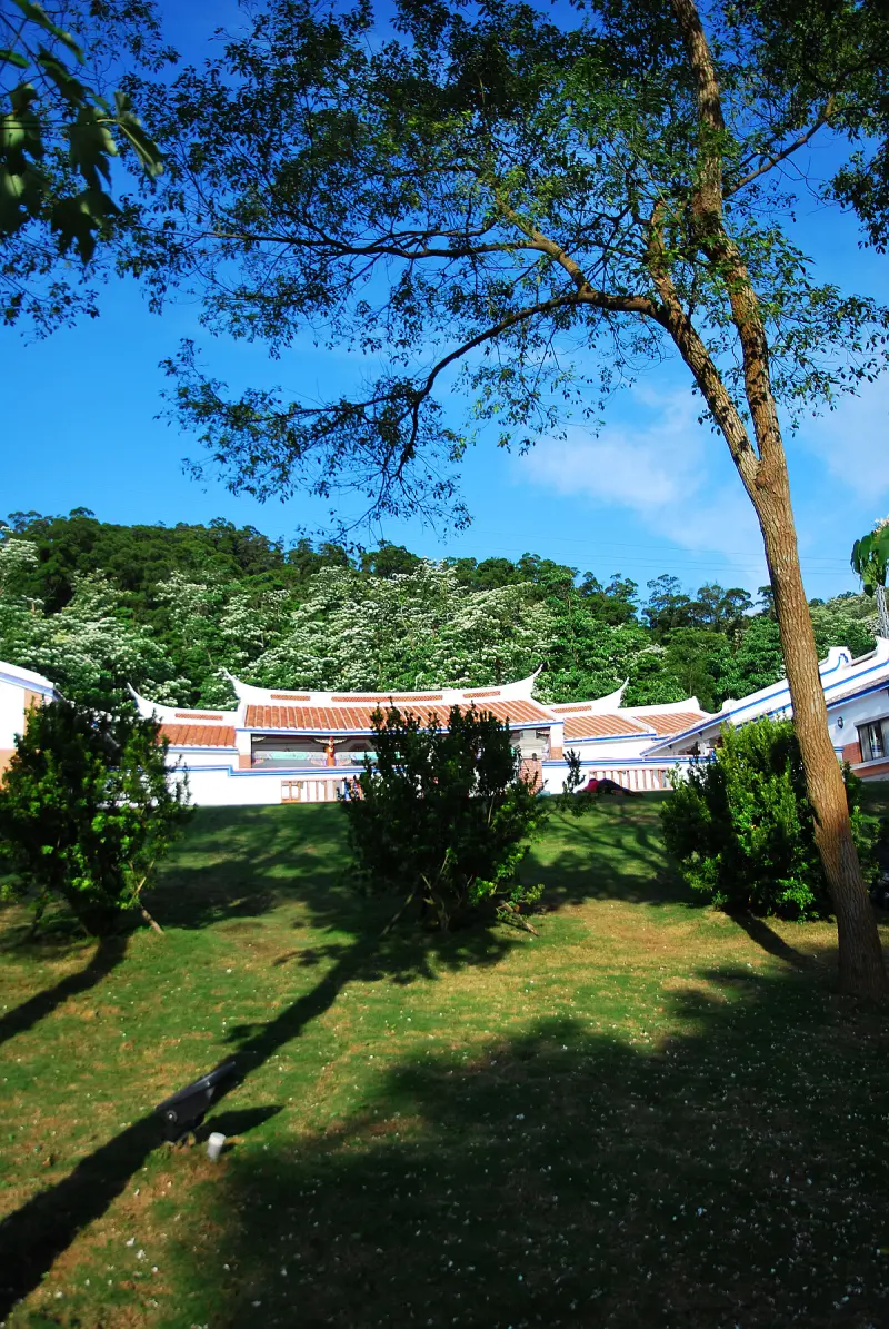 漫步 . 桐花影 * 苗栗 . 2012 客家大院桐花季