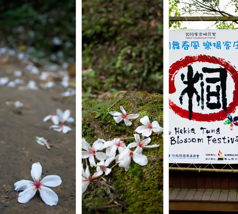 挑炭古道(三通嶺古道)