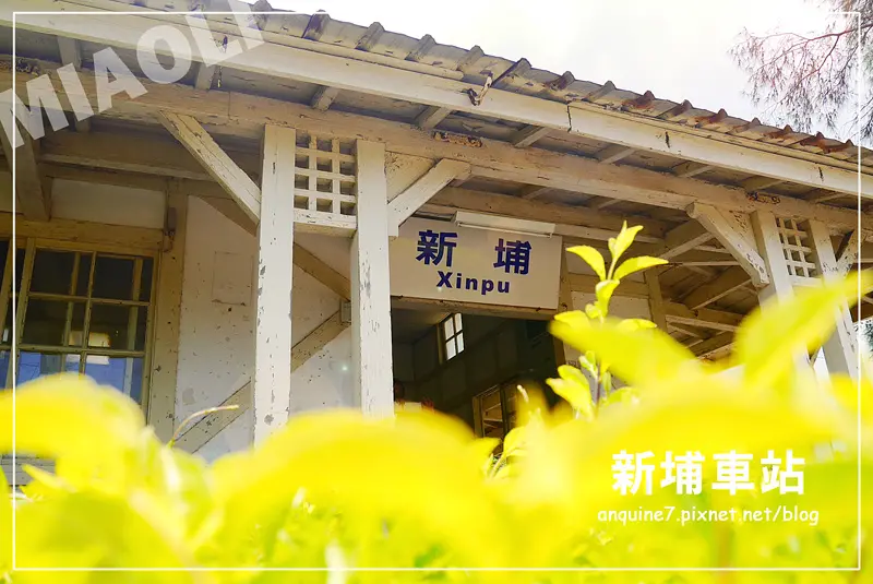 [苗栗。新埔車站] 西部最緊鄰蔚藍海岸與舊日式鵝黃站舍的雙重浪漫