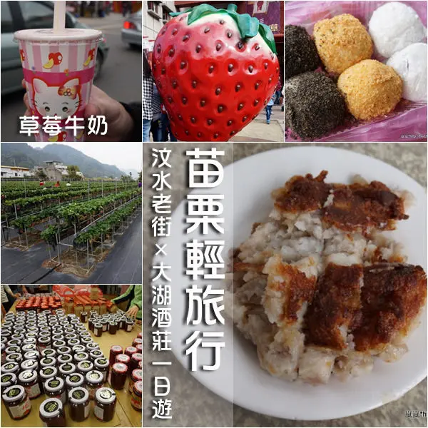 【苗栗旅遊】苗栗輕旅行－汶水老街+大湖酒莊(草莓文化館)一日遊(草莓季、圖多、客運)