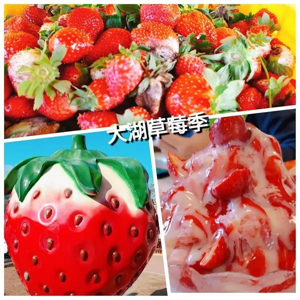2018大湖草莓季【大湖酒莊/花間集】必點招牌草莓牛奶雪花冰/大湖周邊創意冰店/大湖採草莓/充滿草莓幸福甜蜜之旅