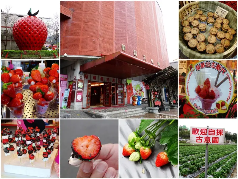 【苗栗-大湖鄉】2018大湖草莓季「大湖酒莊&草莓文化館」