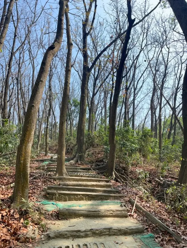 【台南 新化】來場台南森林漫步！ 中興大學新化林場植物園給你滿滿芬多精