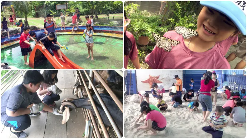 【台南休閒農場】 亞力山大 蝴蝶生態教育農場 ｜ 別再讓孩子待在家打遊戲了！ ｜ 休閒與學習並存的好去處