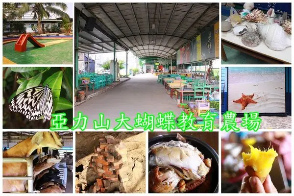 台南仁德~亞力山大蝴蝶教育農場‧可餵羊、餵兔、玩沙、烤肉、控窯