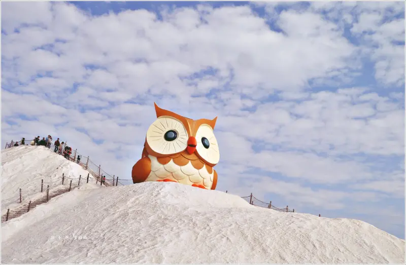 【台南‧七股】七股鹽山‧台南一日遊來去七股鹽山看巨萌的貓頭鷹