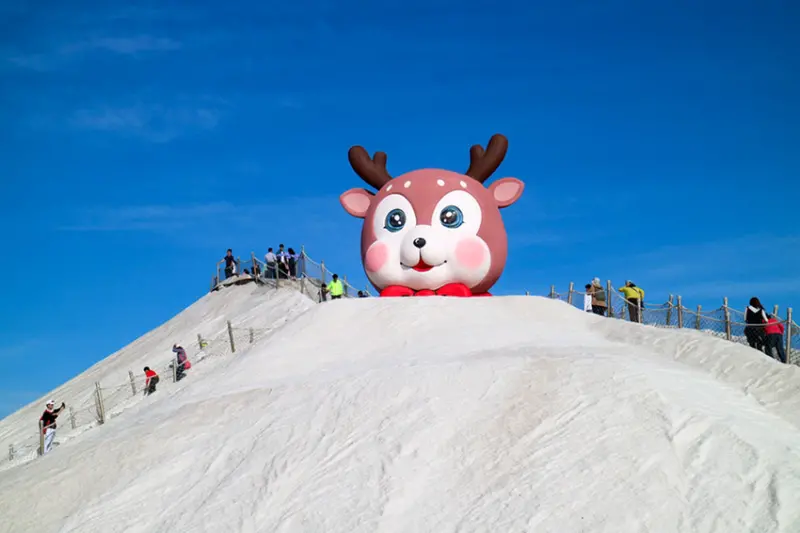 【台南親子旅遊】七股鹽山 遇見幸福萌鹿 鹽沙奇幻樂園 沙雕時光列車 可愛到心都融化了