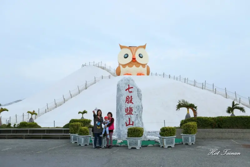 【台南七股區】超萌貓頭鷹鹽山粉墨登場！貓頭鷹眼睛會發亮超級卡哇伊，連假親子出遊必到之地~