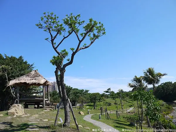 【高雄。三民區】別驚訝！我不在巴里島~這裡是正港河海濕地紅樹林自然生態的最佳詮釋~中都濕地公園
