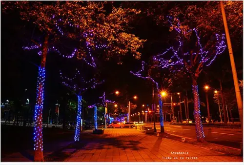 ｜高雄‧左營｜漫步在星光大道上之遲來聖誕節快樂