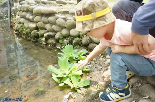 【遊記】高雄左營_原生植物園@與眾不同的生態工法 讓大自然融入了都會之中