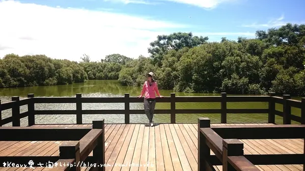 ★高雄楠梓★【援中港濕地公園】生態巡禮。