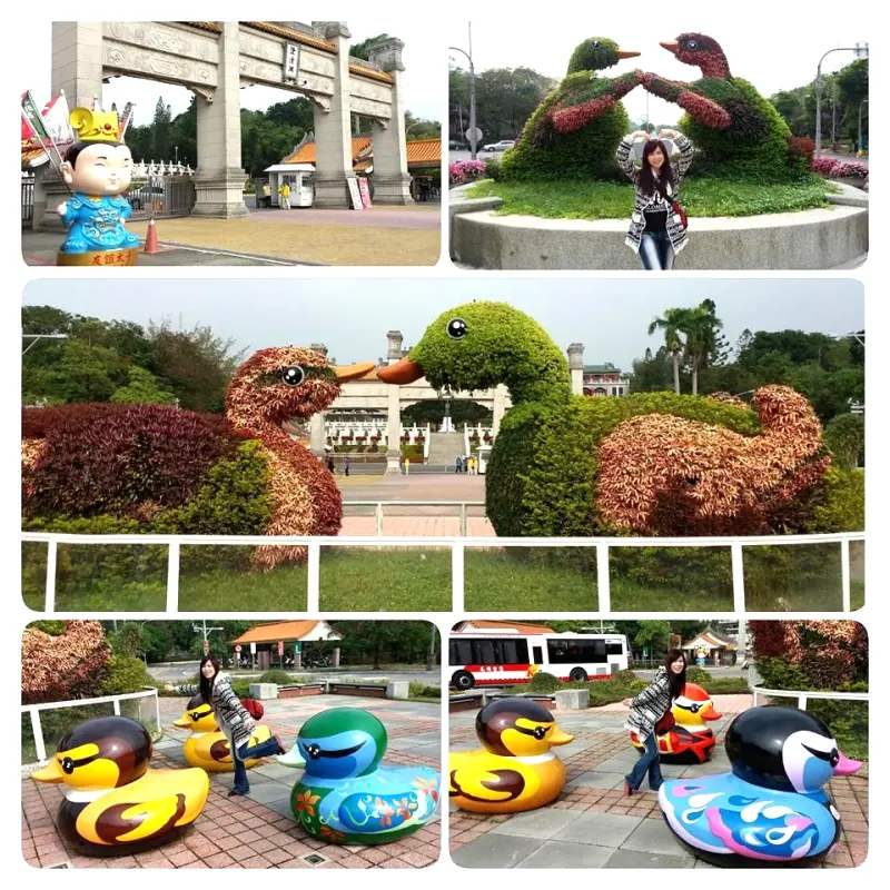 【高雄景點】高雄澄清湖~鴨鴨大集合              
