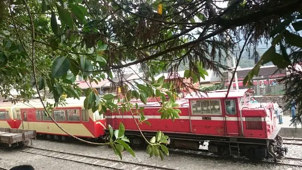 嘉義奮起湖~排隊超好吃檜木甜甜圈、草仔粿、鐵路便當、野生愛玉~幾米的星空小木屋~        
      