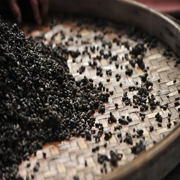 源發號醬油工廠