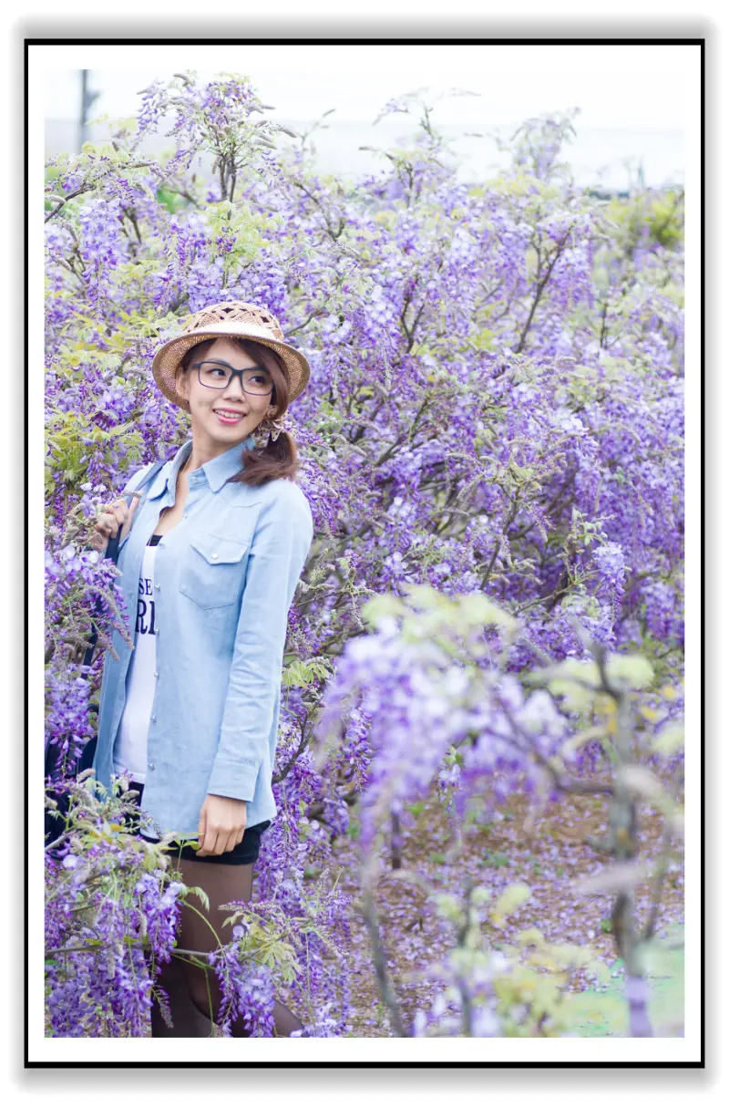 南法普羅旺斯 葡萄莊園? 我在淡水遇見-紫藤咖啡園