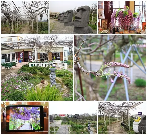 『2017台北三天兩夜之旅』～淡水紫藤咖啡園