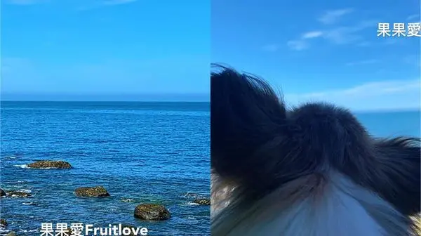 不用下車就可以停車欣賞美麗海景　　好好的放空、充電　北海岸旅遊　跳石海岸　　親子寵物友善