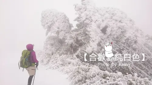 ★南投仁愛★彷彿置身「冰雪奇緣」動畫裡，我在【合歡山】找到了冬天！