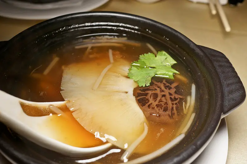 鼎極魚翅 日本觀光客愛吃的台北魚翅餐廳