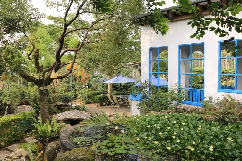 雲林古坑。56號藍色公路咖啡，夢幻地中海風格、華山夜景 x 古坑景觀餐廳