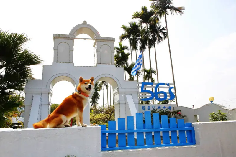 【食。雲林】56號藍色公路咖啡〜一秒飛到希臘，超美山景在台灣！180度景觀，網美照零死角，好吃又好拍的浪漫景觀餐廳