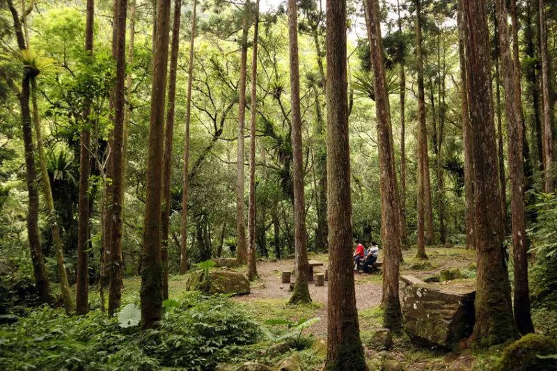 必去三峽景點推薦：滿月圓國家森林遊樂區