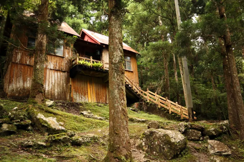 新北健行|滿月圓國家森林遊樂區|簡單負離子步道行程