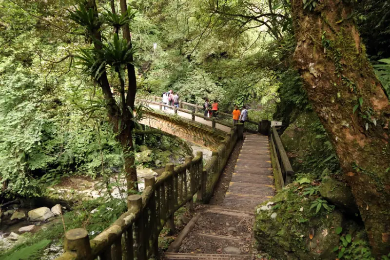 必去三峽景點推薦：滿月圓國家森林遊樂區