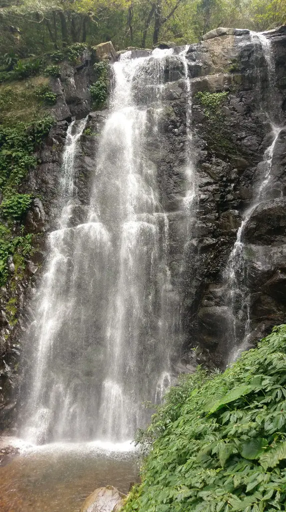 放電小惡魔@滿月園國家森林步道