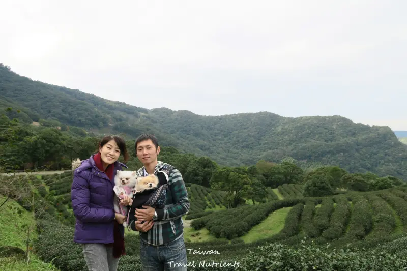 【新北．三峽】遠離台北城市喧囂的首選景點 - 熊空茶園 (毛小孩可入園)