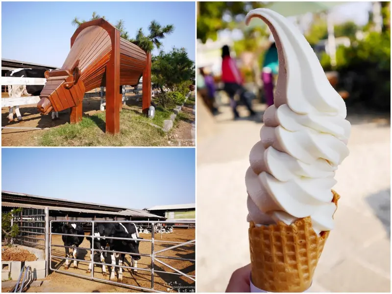 【彰化市】免門票景點「禾家牧場」吃霜淇淋看乳牛