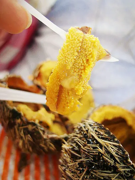 【基隆】碧砂漁港。現殺海膽好美味        
      