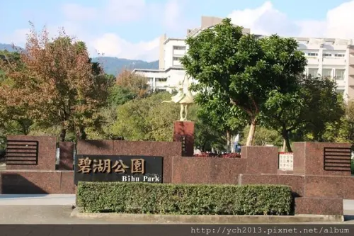 碧湖公園散策，晴空下的落羽松與多色朱槿很迷人