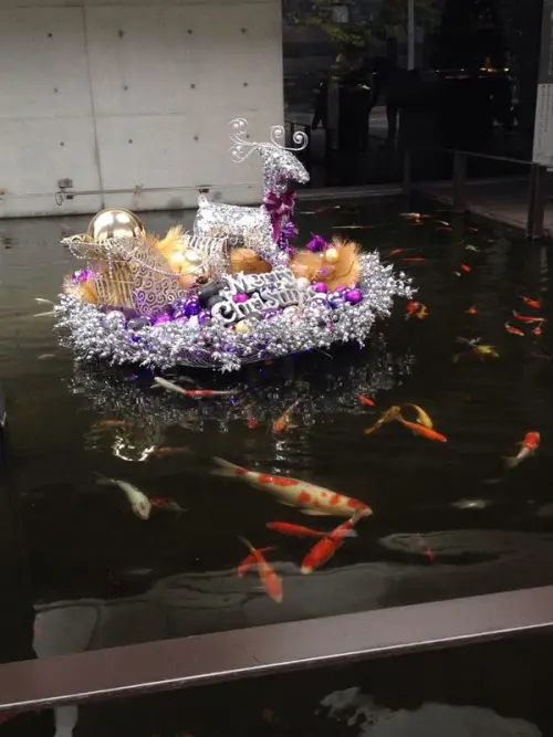 【高雄*鼓山】碳佐麻里日式燒肉(高美店) N訪