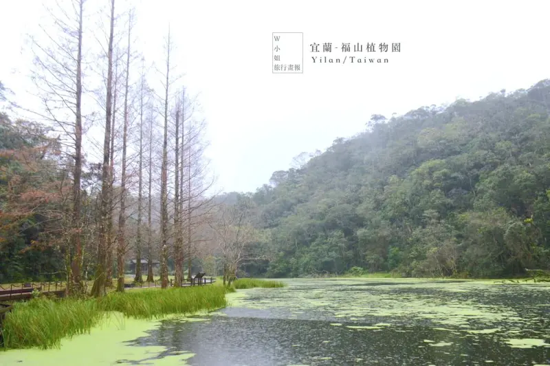 Ｗ小姐旅行畫報/ 宜蘭遊報｜福山植物園，在雪山支脈中尋幽山林秘境，總量管制需入園申請＃亞洲最大植物園＃Tripbaa趣吧生態旅遊