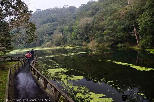 【宜蘭。員山】雨霧森林。神秘後花園。福山植物園